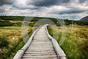 Upska raseliniste- Czech republic Giant Mountains photo